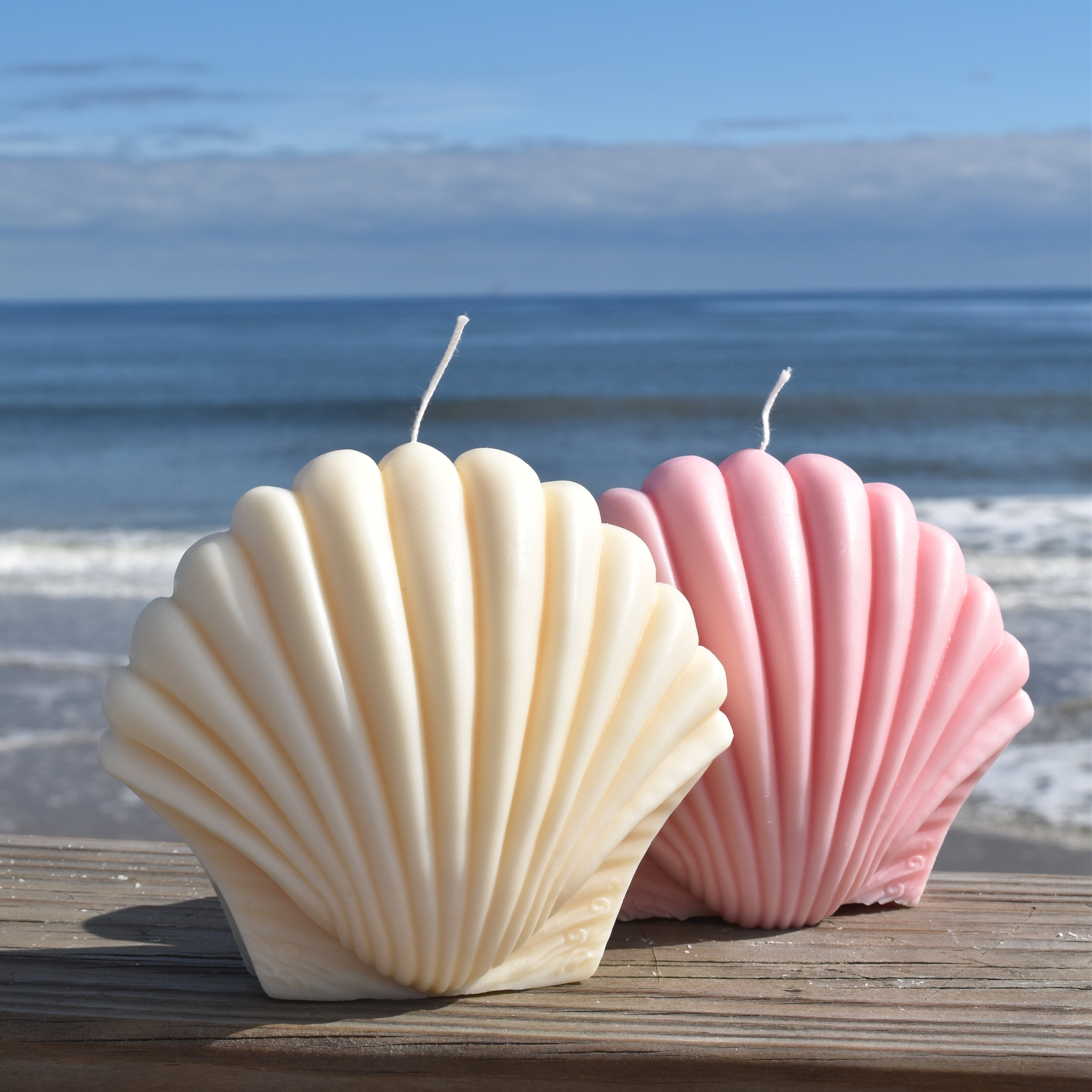 White Jumbo Shell Candle – Laulea by the sea
