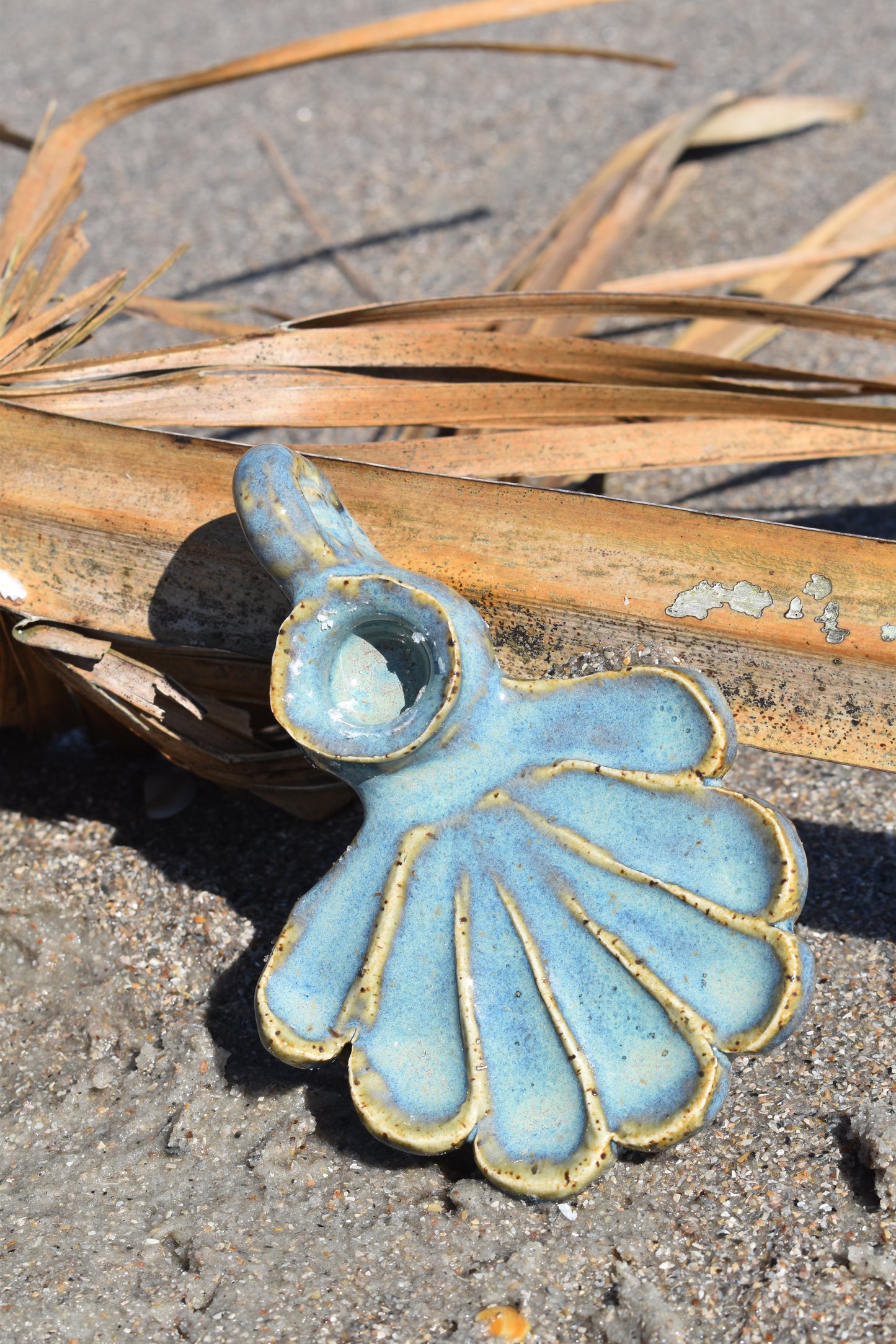 Seafoam Chamber Shell