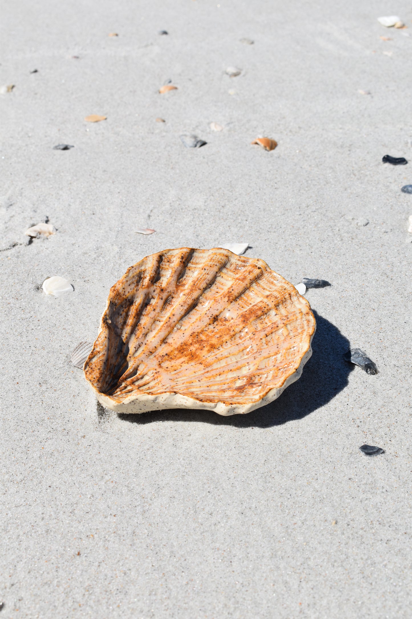 Espresso Speckled Ceramic Scallop Tray