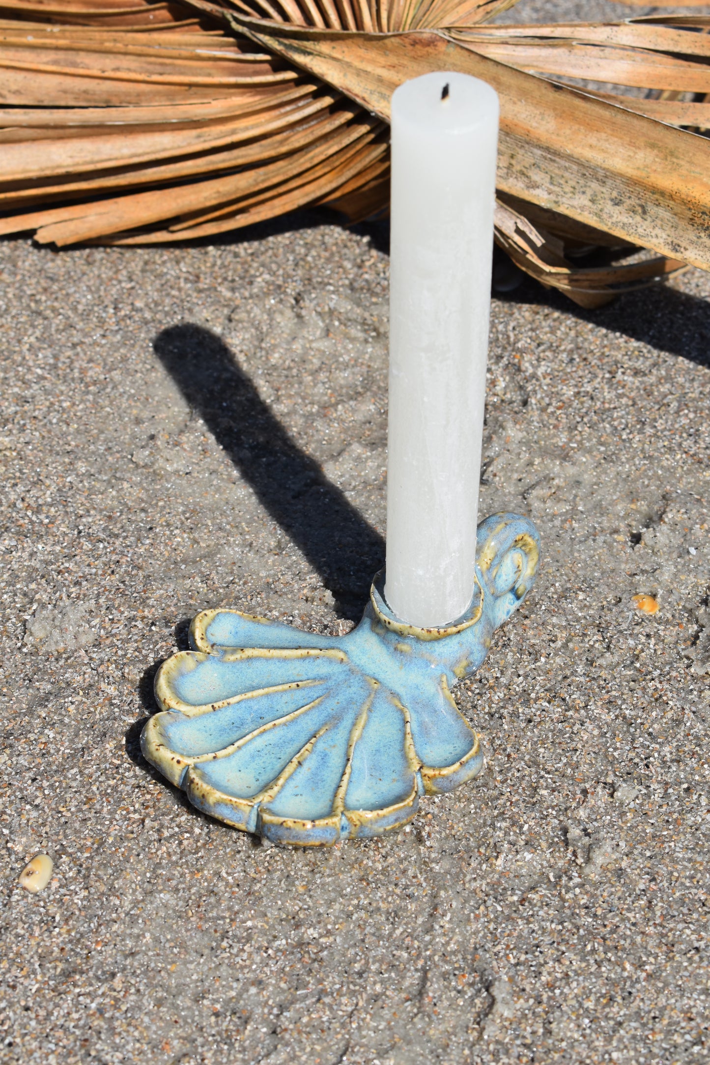 Seafoam Chamber Shell