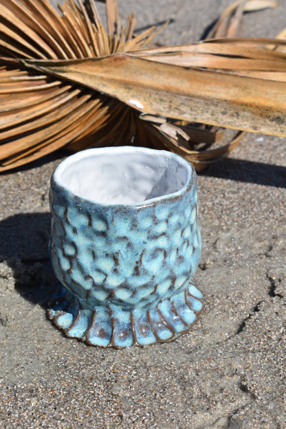 Azure Coral Cup