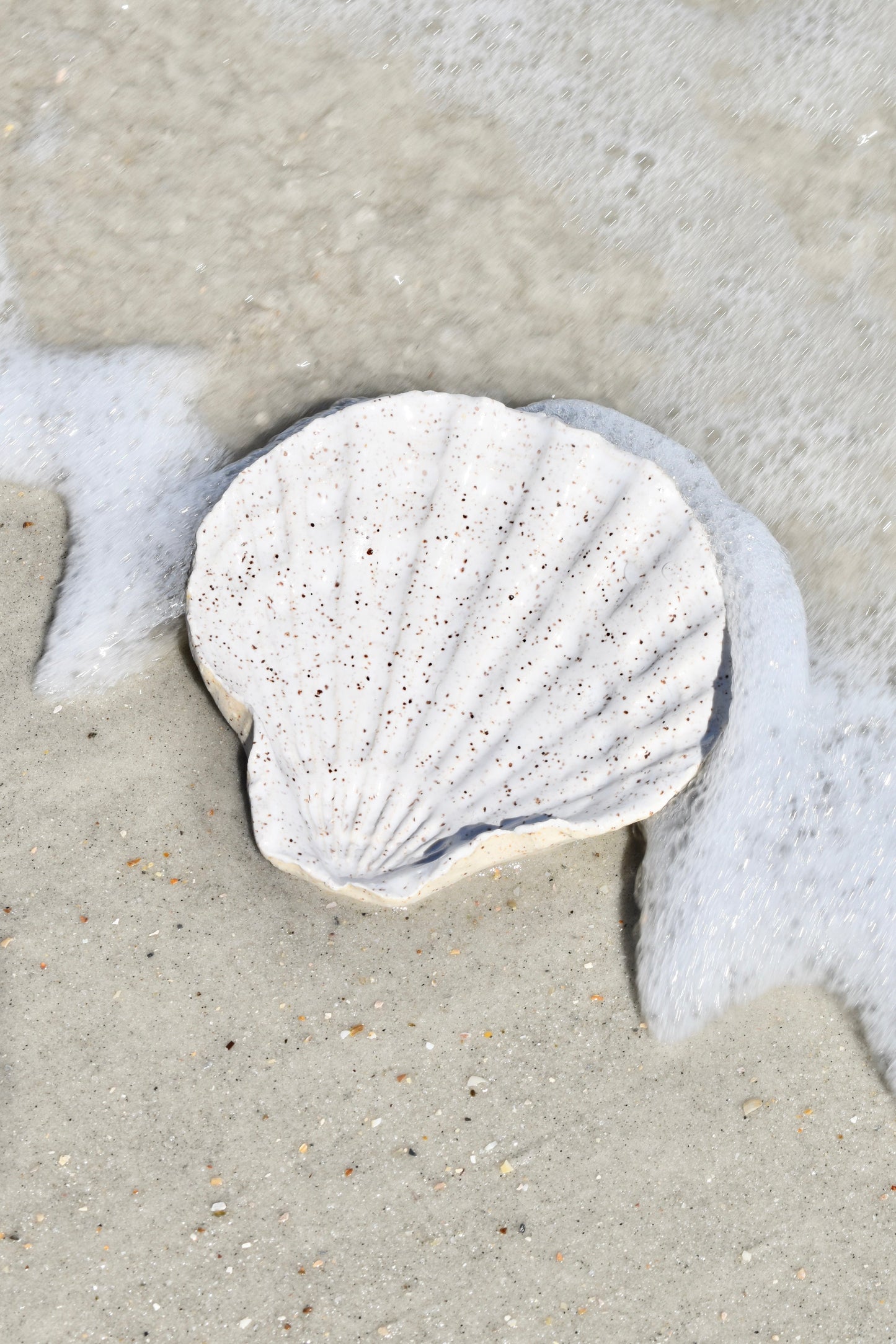 White Speckled Scallop Tray
