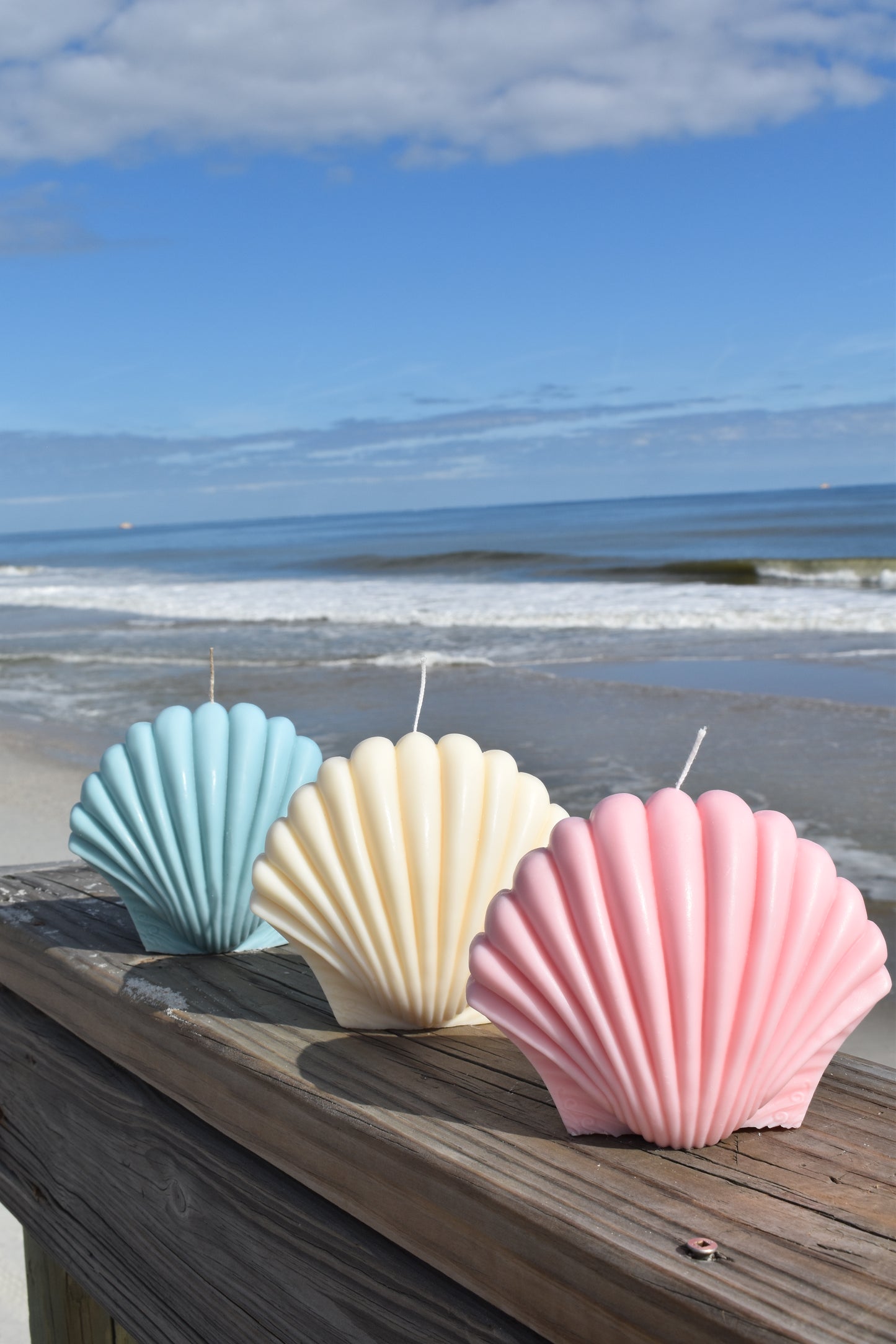 White Jumbo Shell Candle