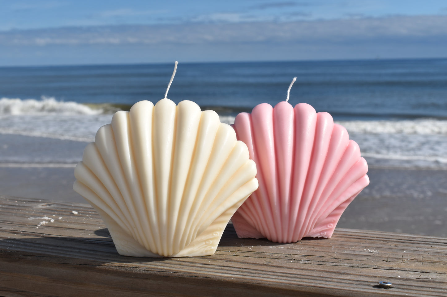 White Jumbo Shell Candle