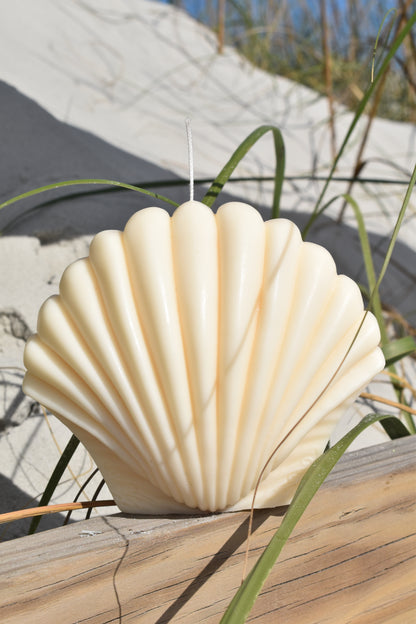 White Jumbo Shell Candle