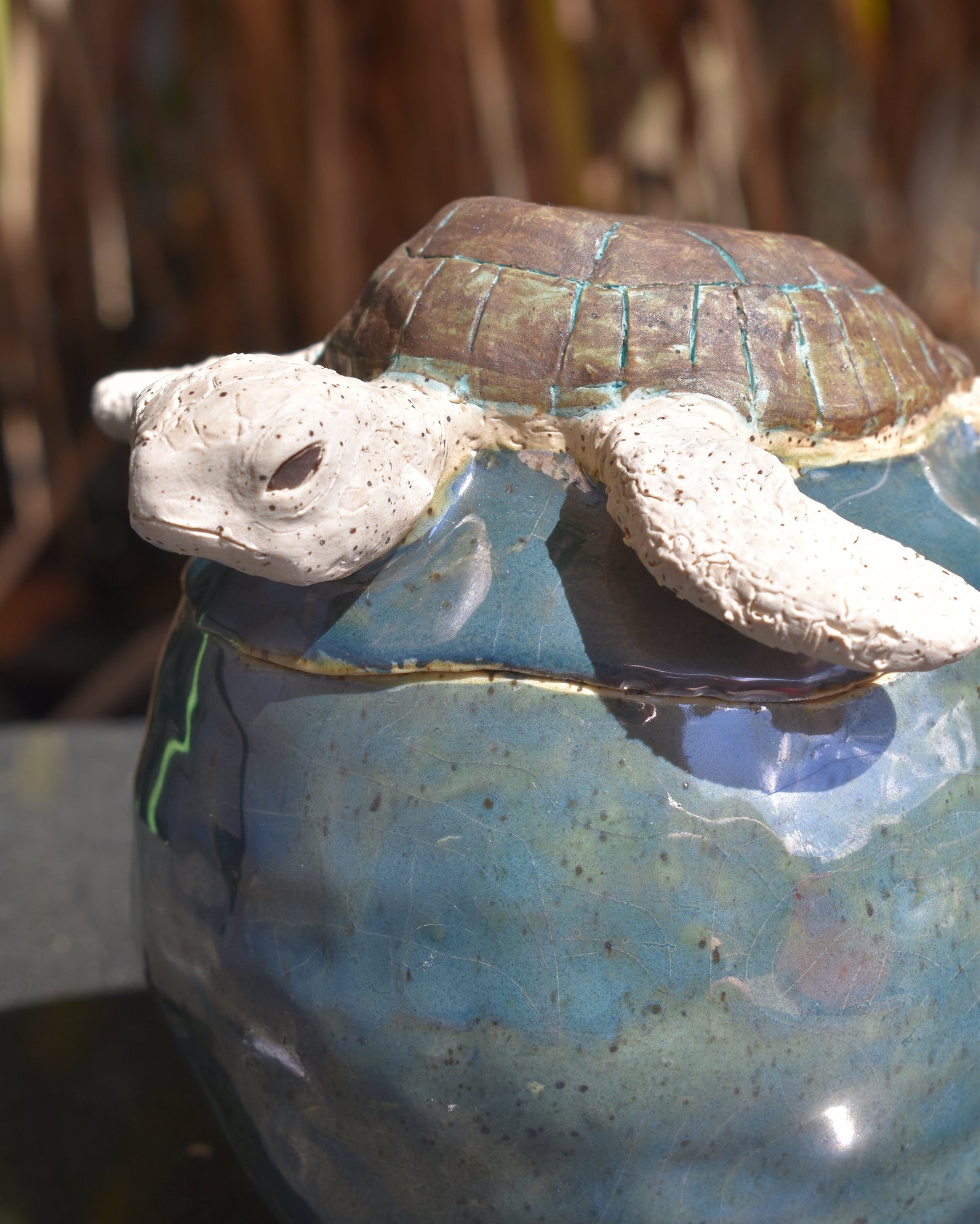 Juno Turtle Vessel
