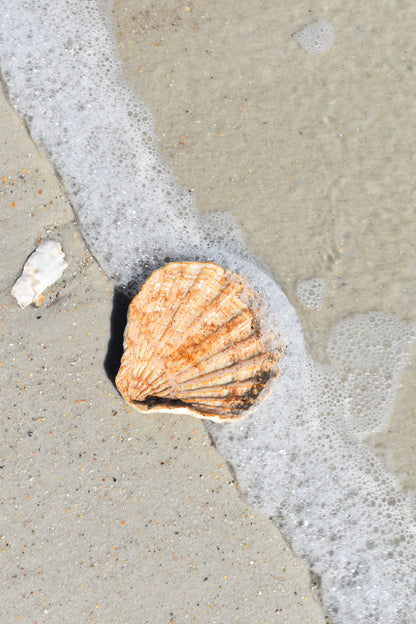 Espresso Speckled Ceramic Scallop Tray