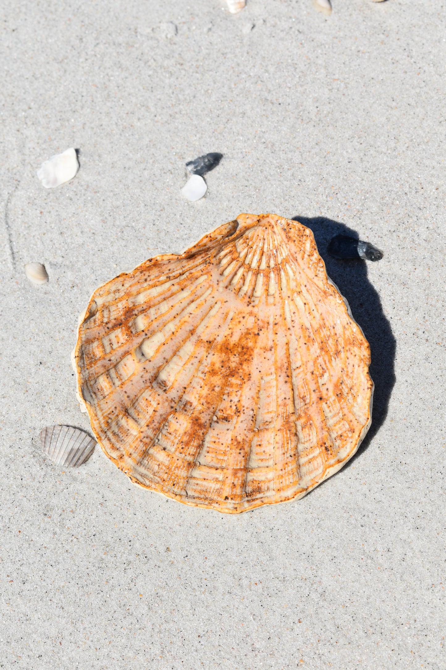 Espresso Speckled Ceramic Scallop Tray