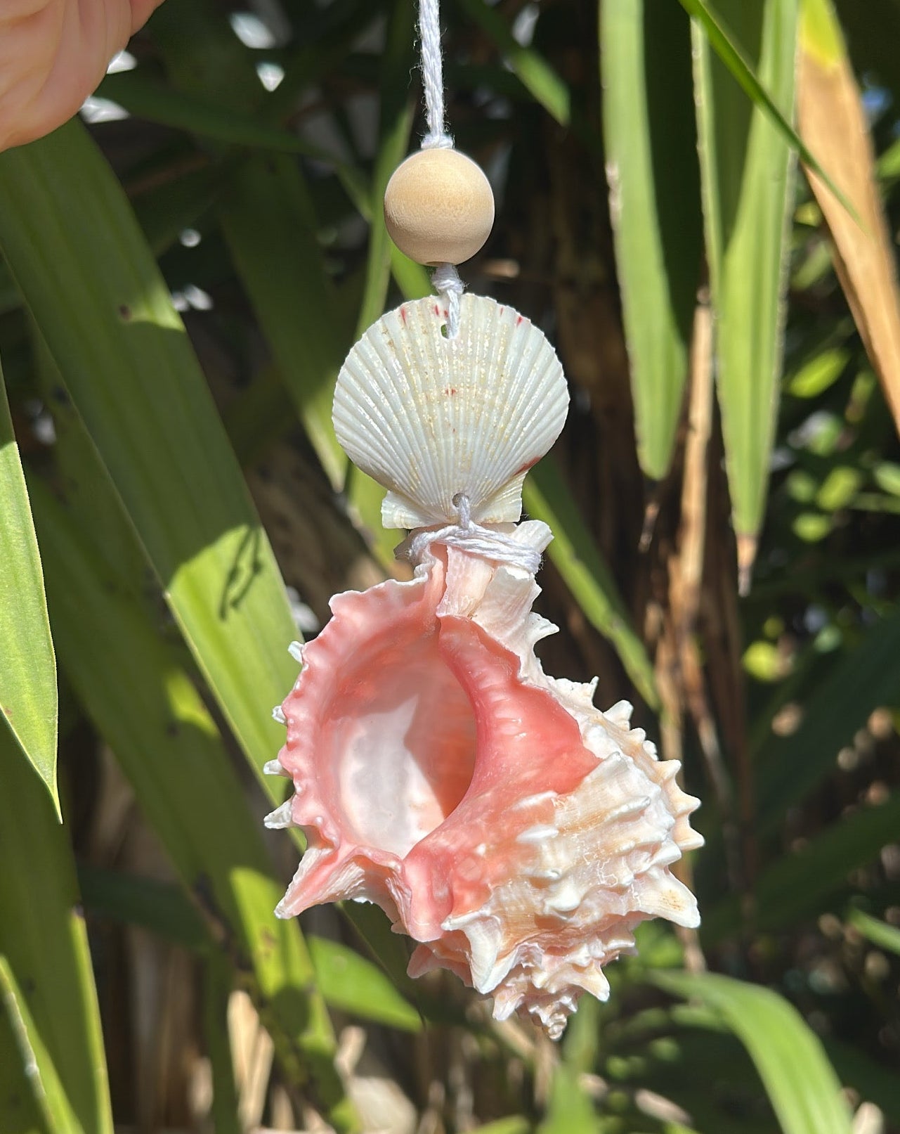 Pink Murex Shell Car Charm Diffuser