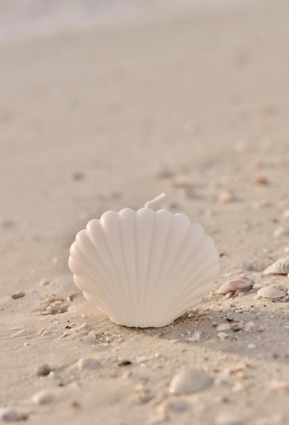 Shell Candle| Soy Wax Candle| Shell Decor| Seashell Candle| Scallop| Pretty Candle| Ocean Decor| Ocean accessories| Tropical| Coconut Girl|