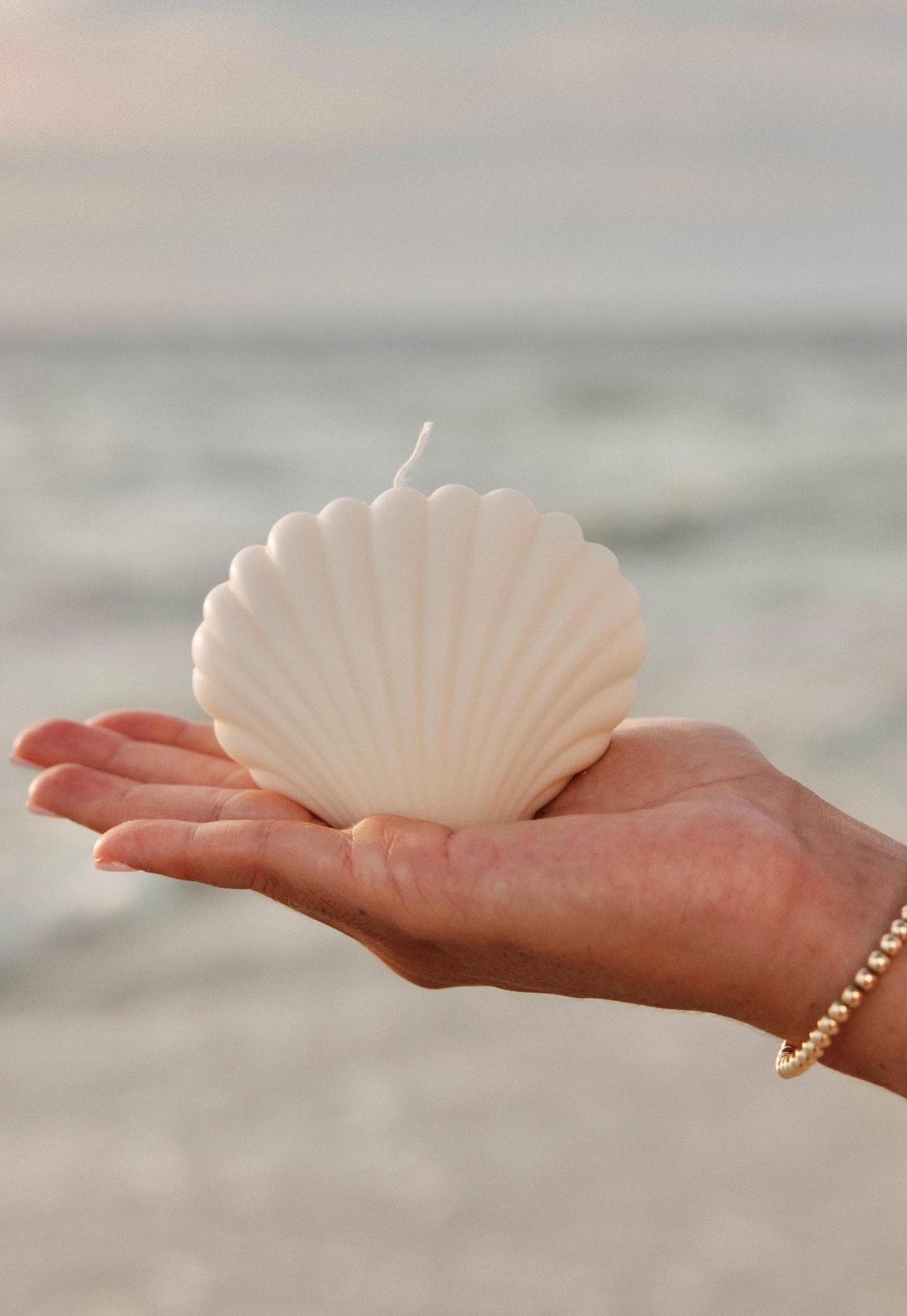 Shell Candle| Soy Wax Candle| Shell Decor| Seashell Candle| Scallop| Pretty Candle| Ocean Decor| Ocean accessories| Tropical| Coconut Girl|